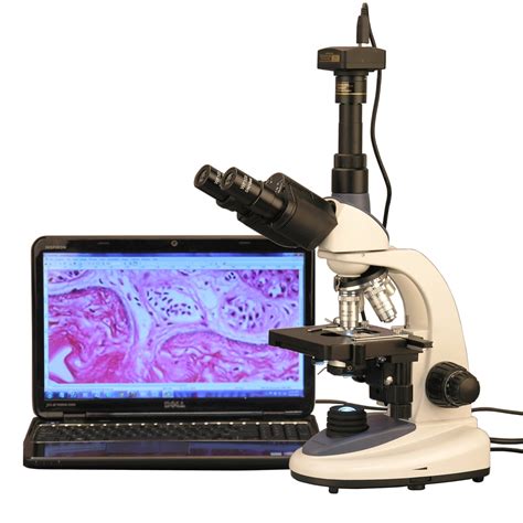 microscopes with camera
